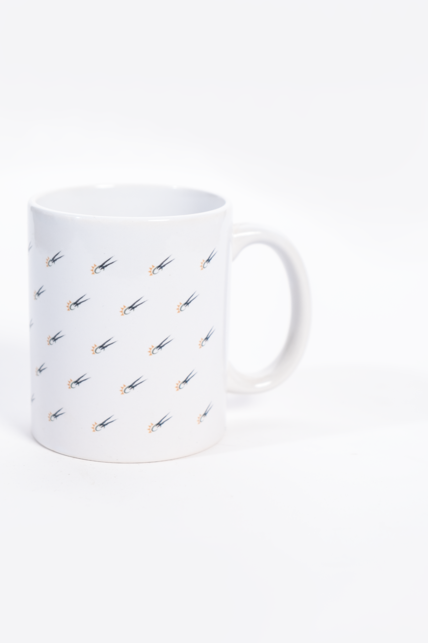 NamibiaCam Mug 250ml