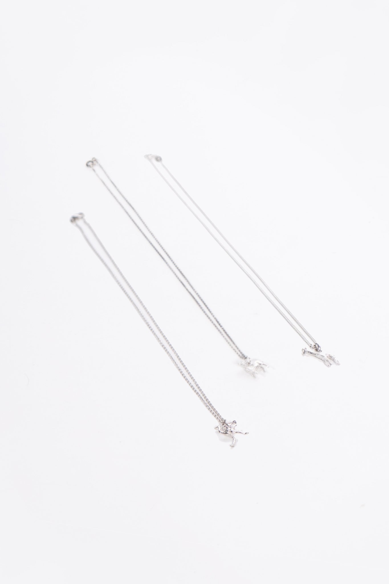 NamibiaCam Silver Necklace