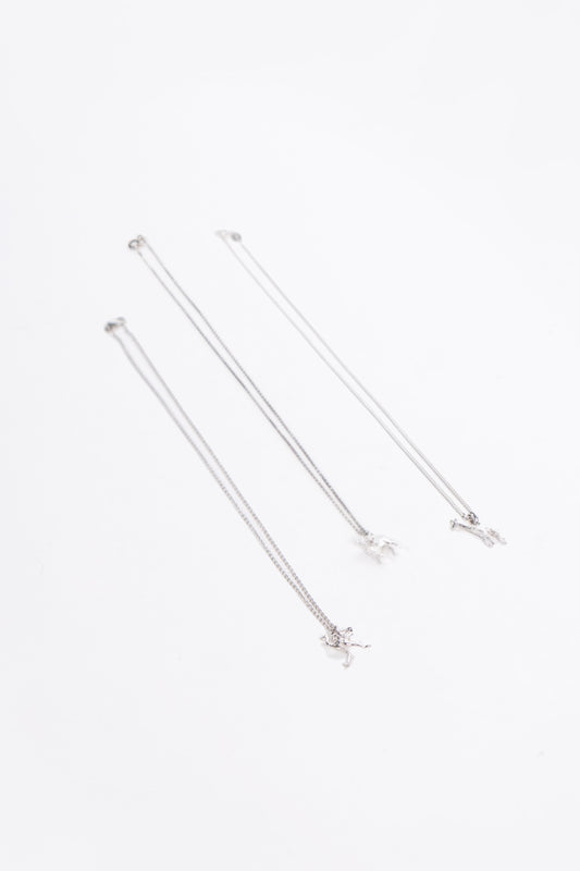 NamibiaCam Silver Necklace