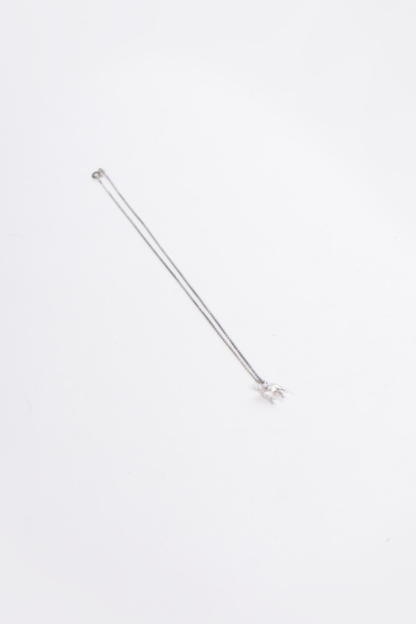 NamibiaCam Silver Necklace