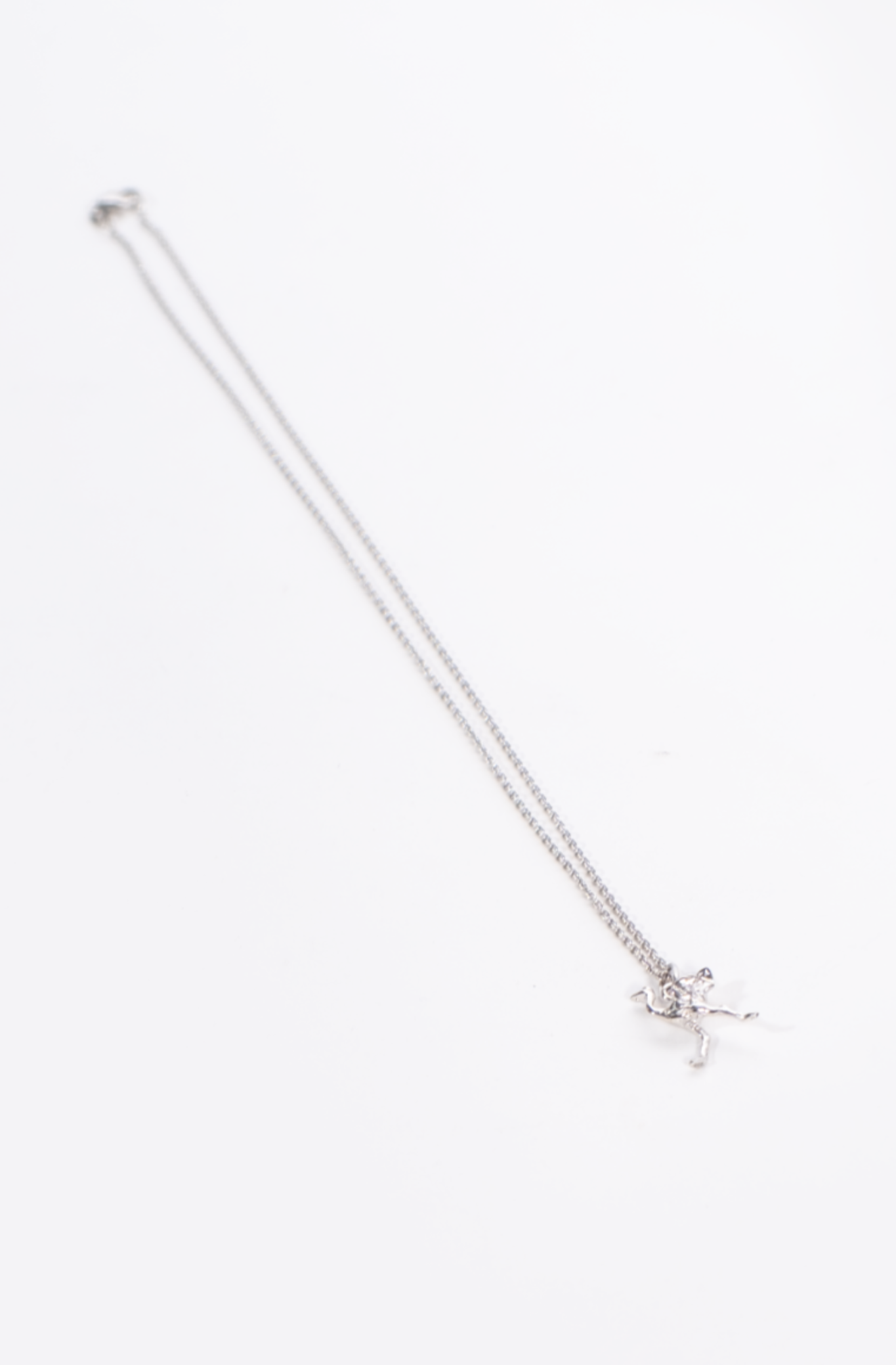 NamibiaCam Silver Necklace