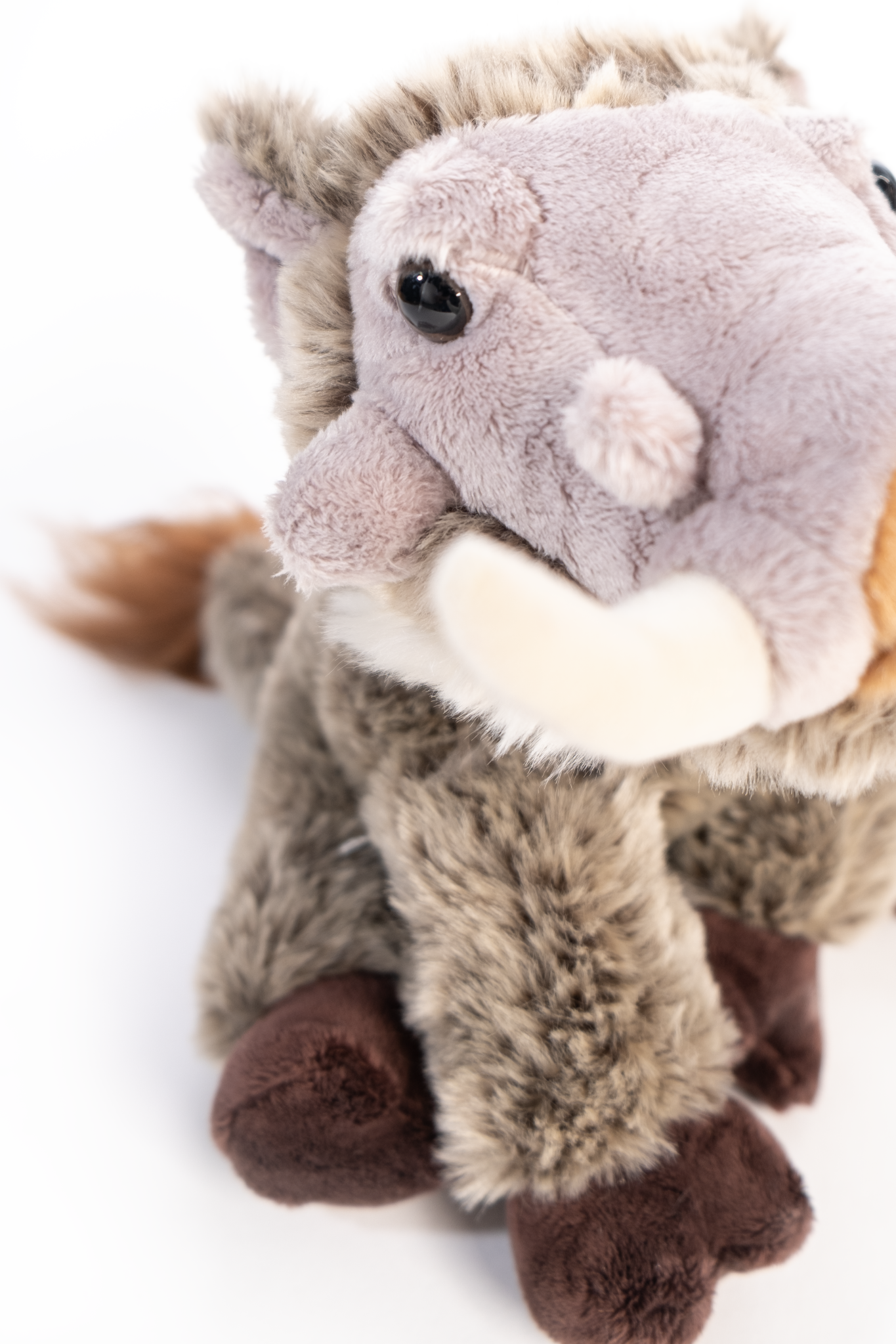 Warthog Large Soft Toy