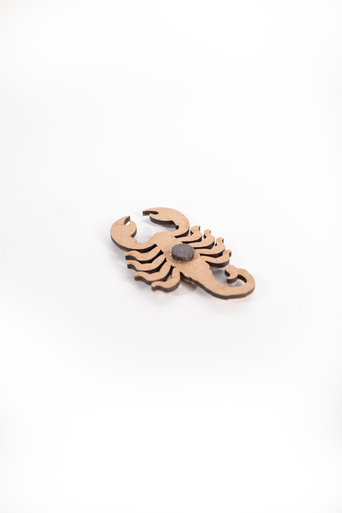 Sand Fridge Magnet  Scorpion
