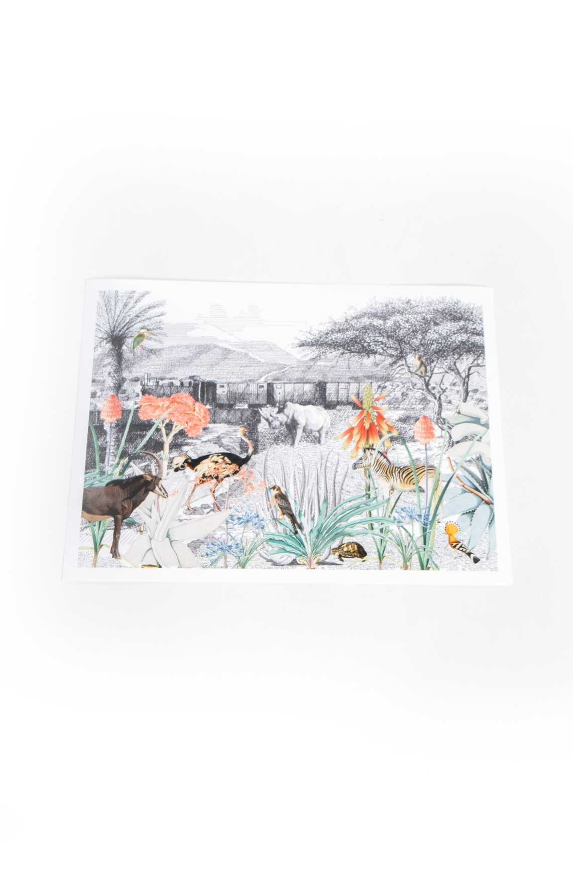 Okapuka Room Artwork Print