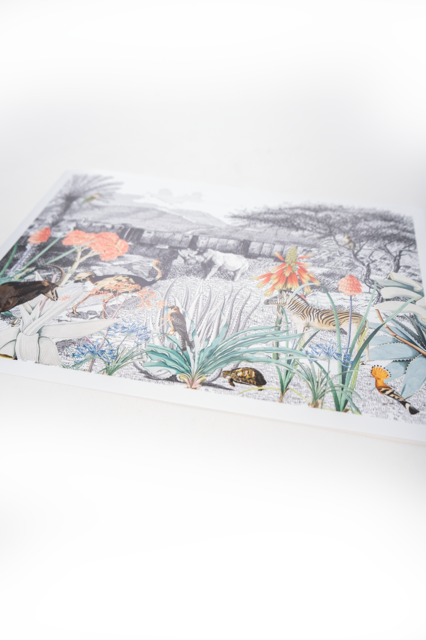 Okapuka Room Artwork Print
