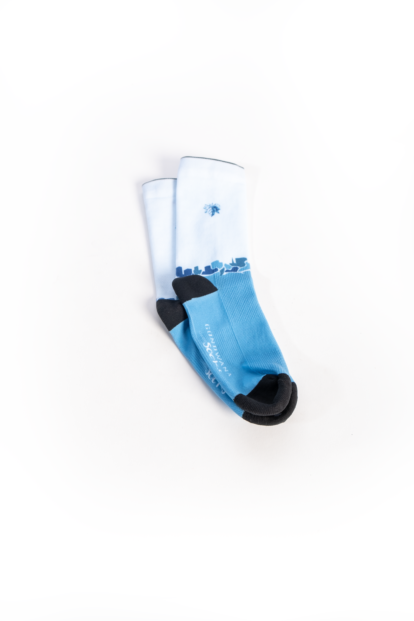 The Weinberg Socks