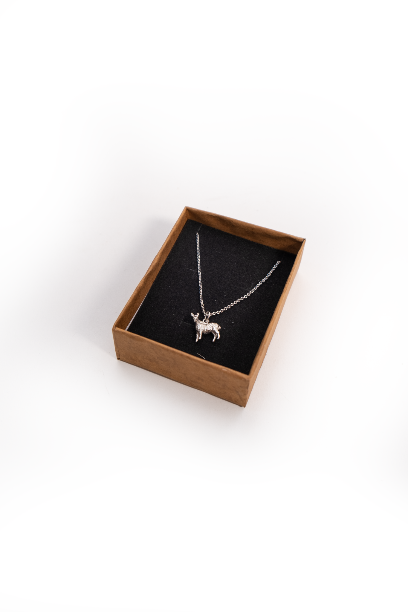 NamibiaCam Silver Necklace