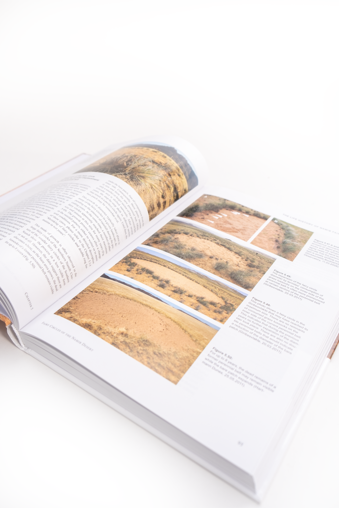 Fairy Circles of the Namib Desert Book