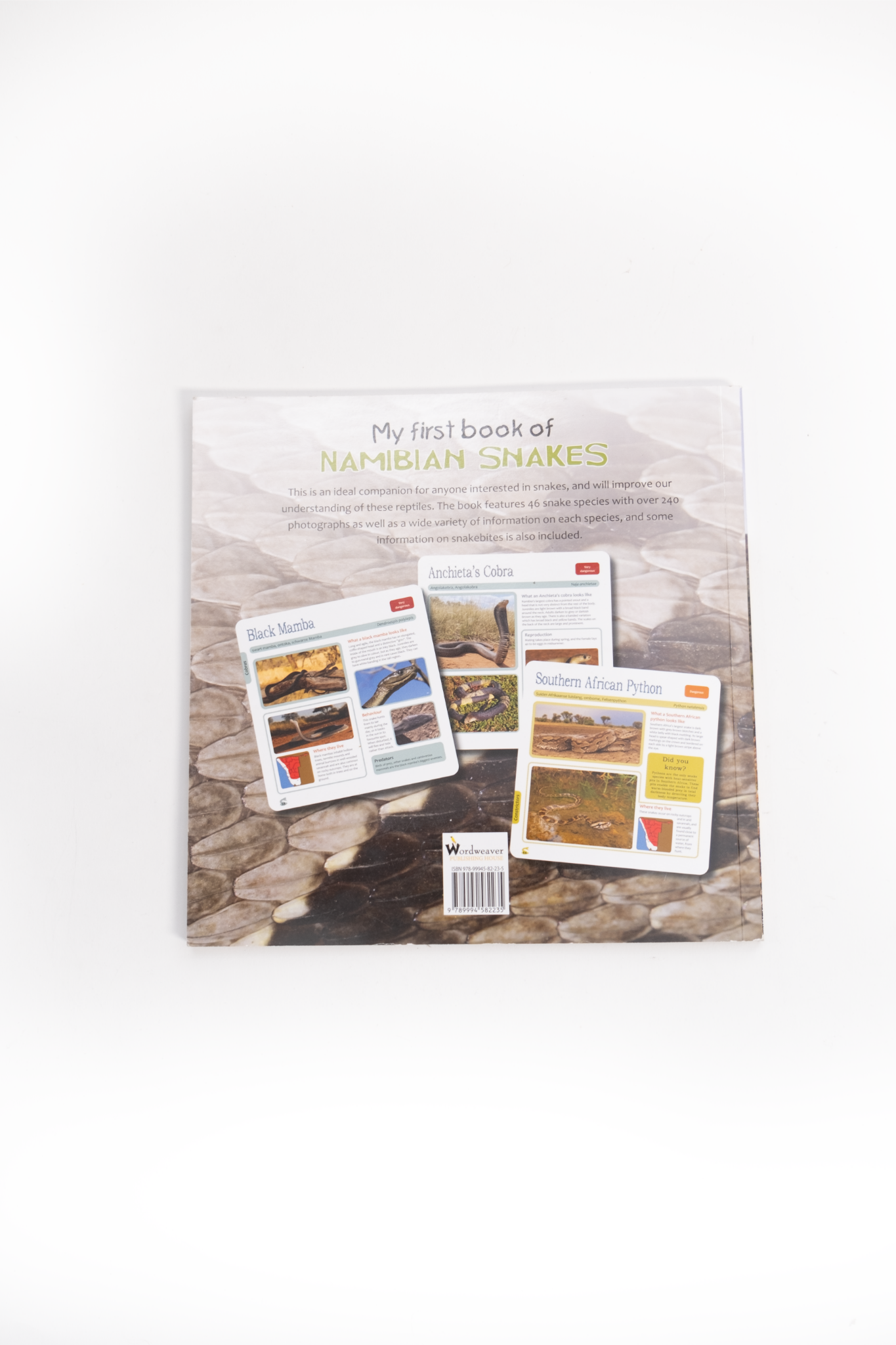 My First Book of Namibian Snakes