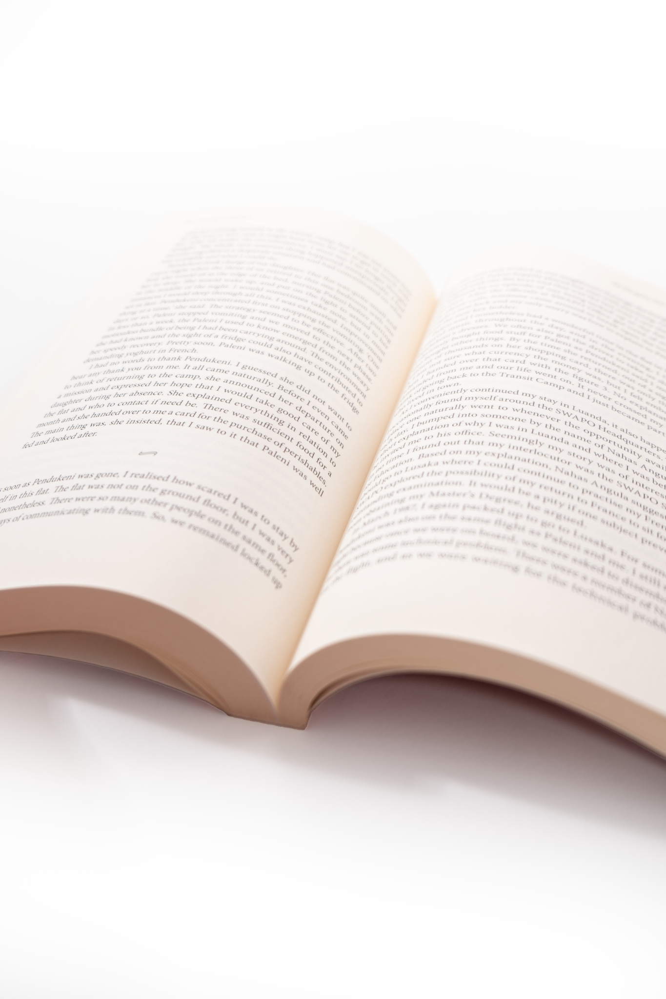 Taming My Elephant Book