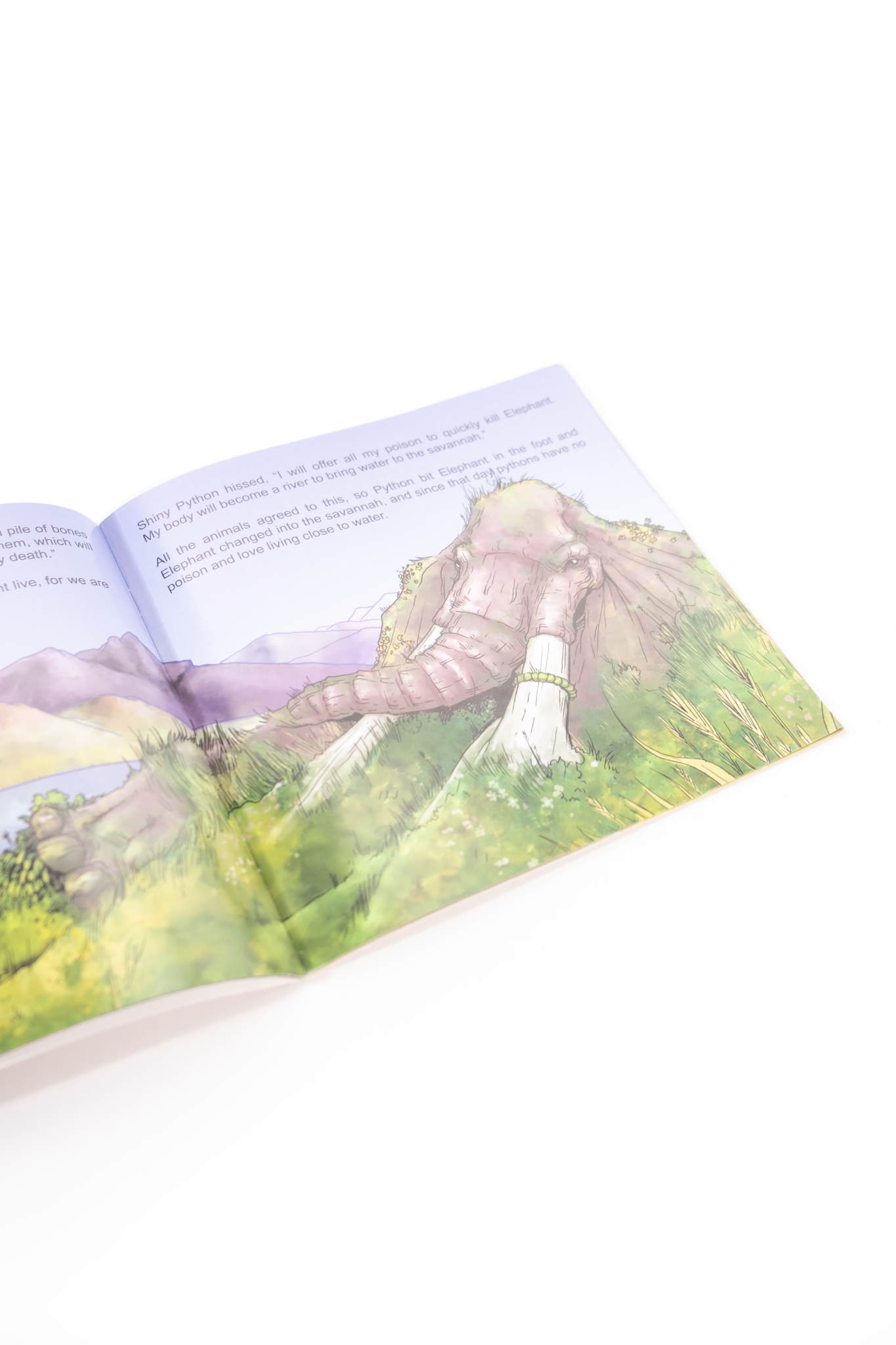 The Elephant's wisdom Story Book