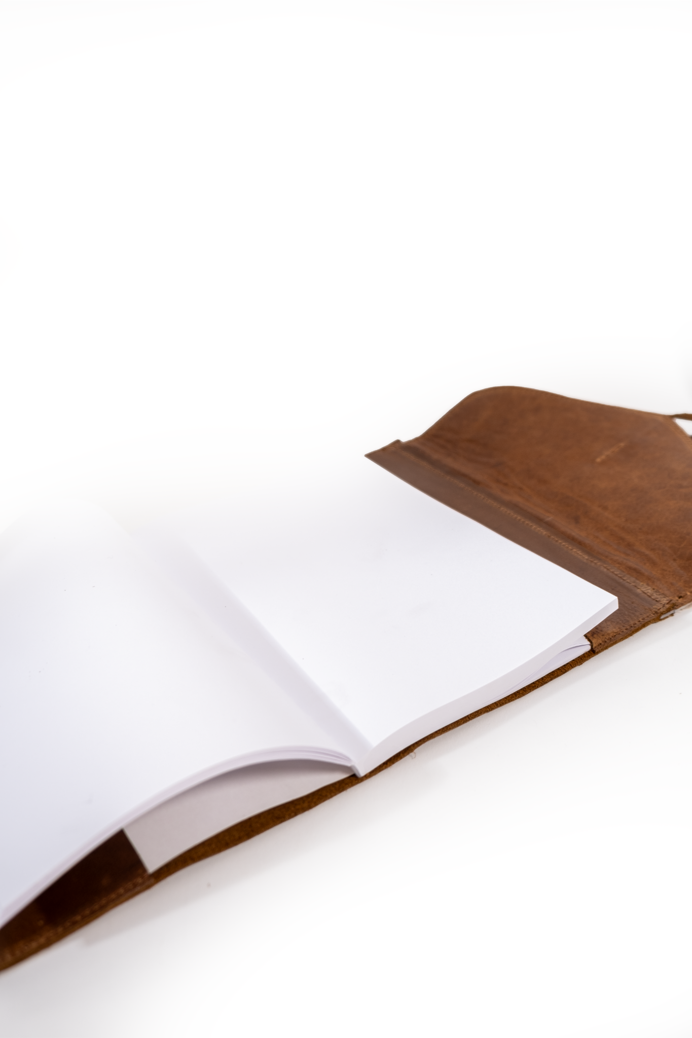 Springbok leather Notebook - Brown