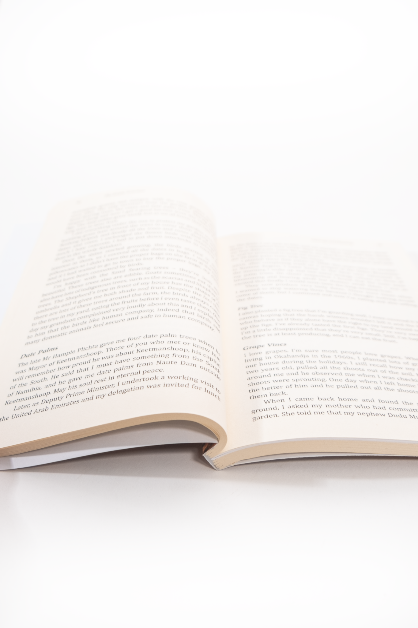 The Empty Armchair Book