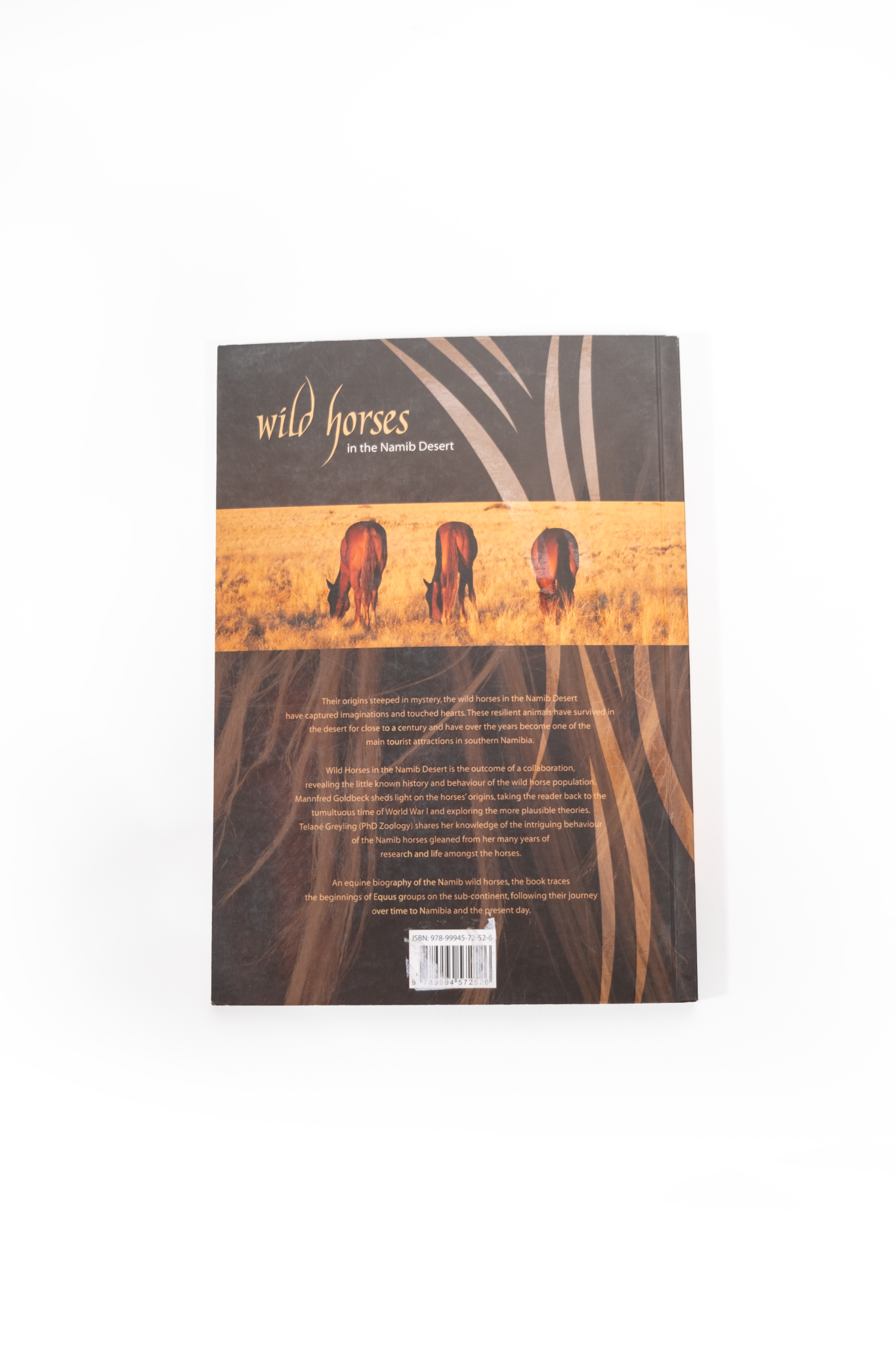 Wild Horses in the Namib Book - English