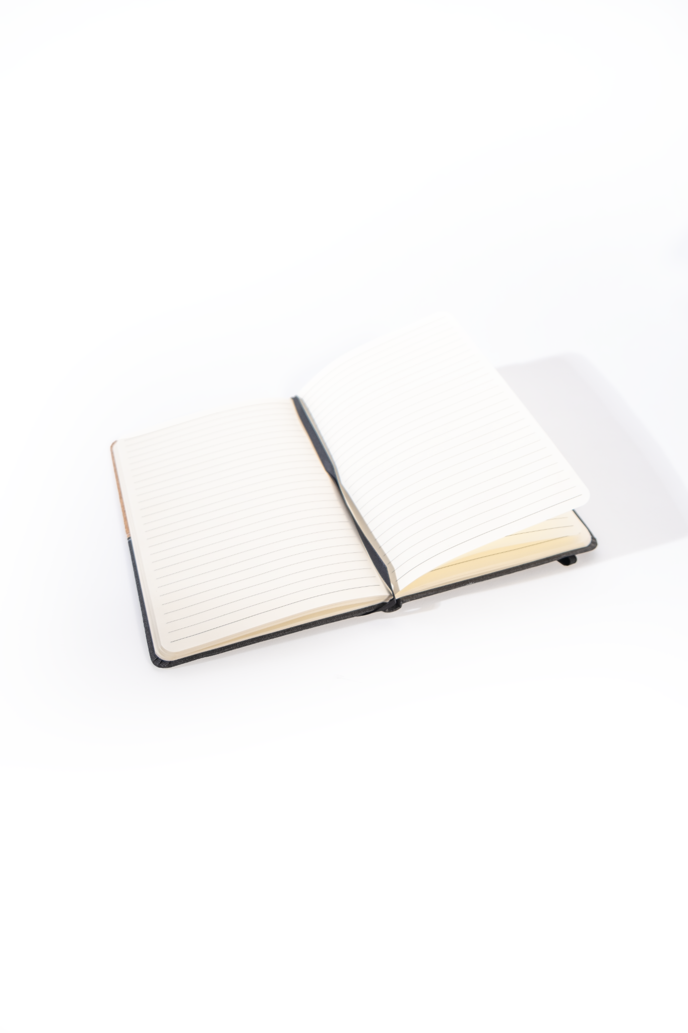 Gondwana Collection Namibia Merchandise - Sustainable Cork Notebook