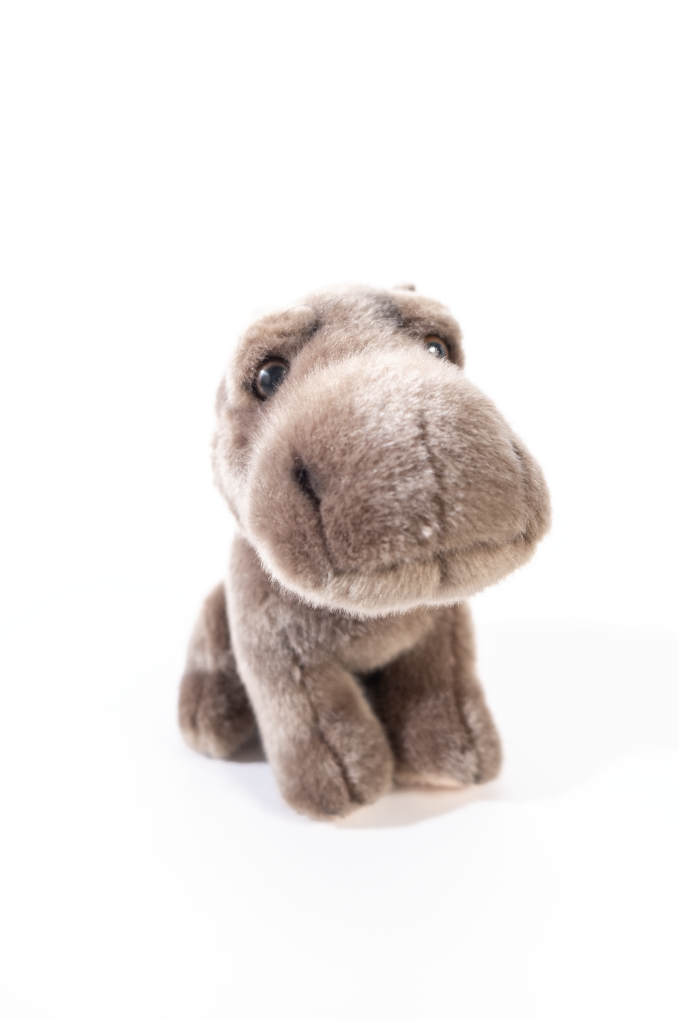 Baby Hippo soft Toy