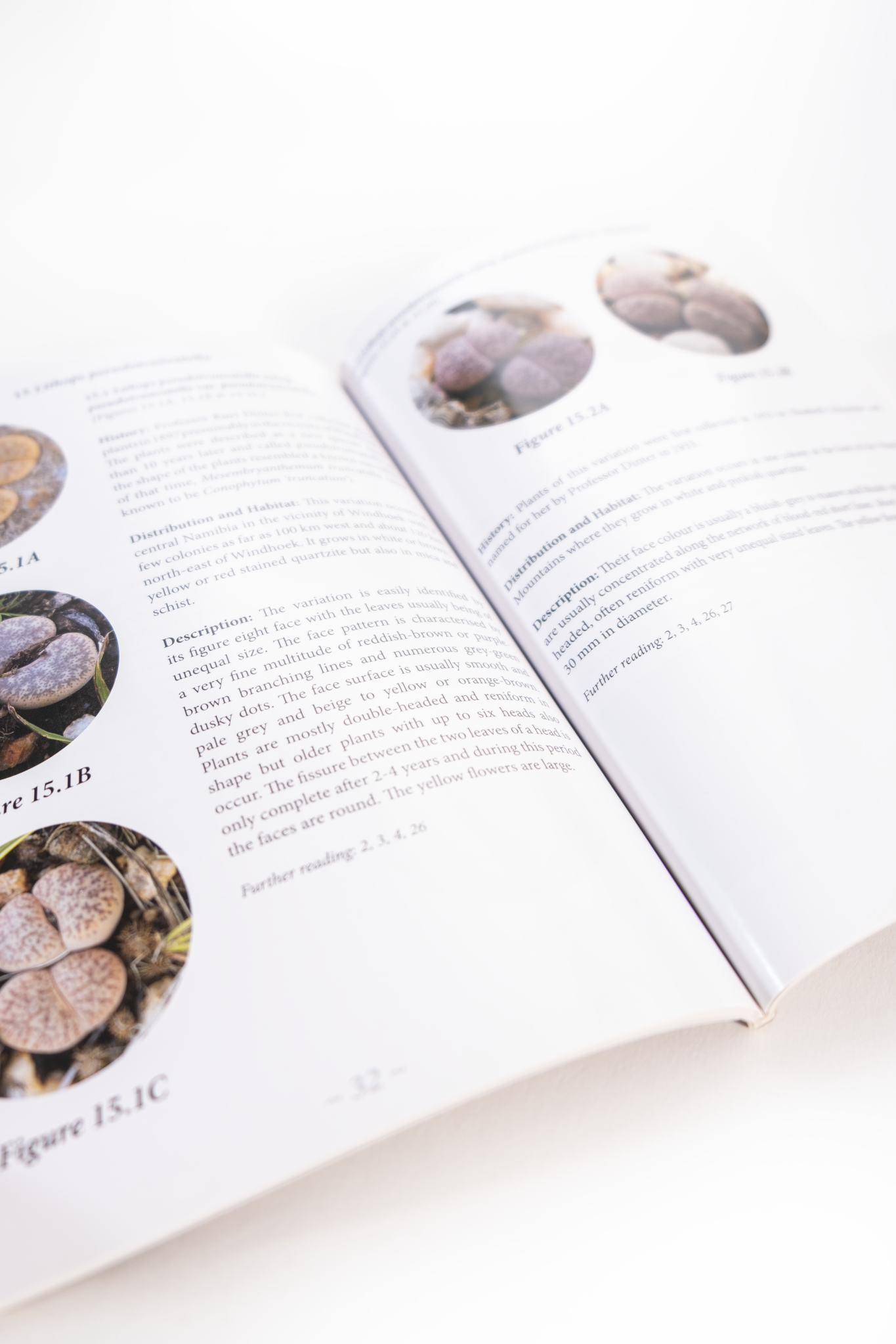 Lithops of Namibia Book