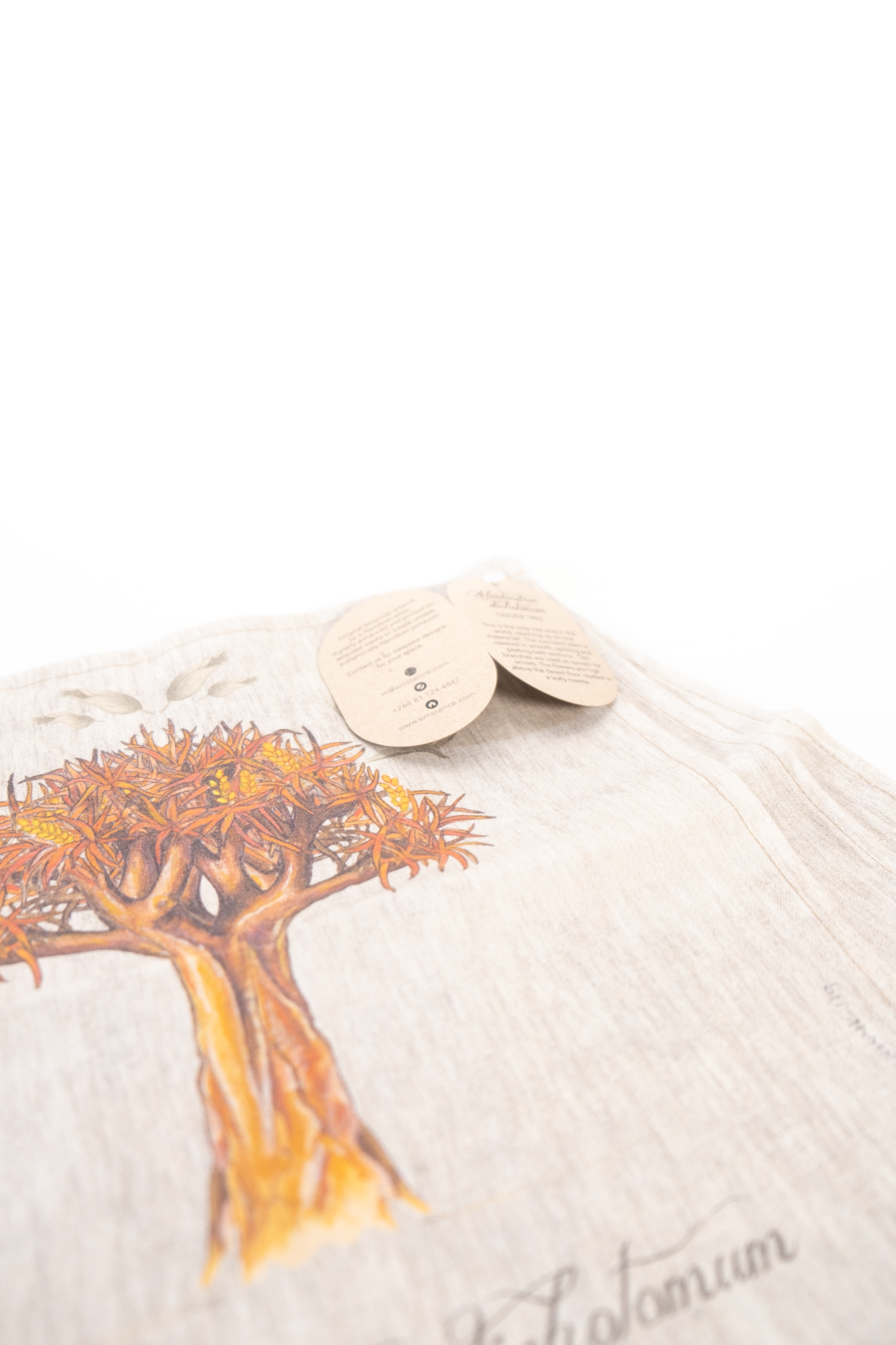 Quiver tree cotton Napkin set of 4