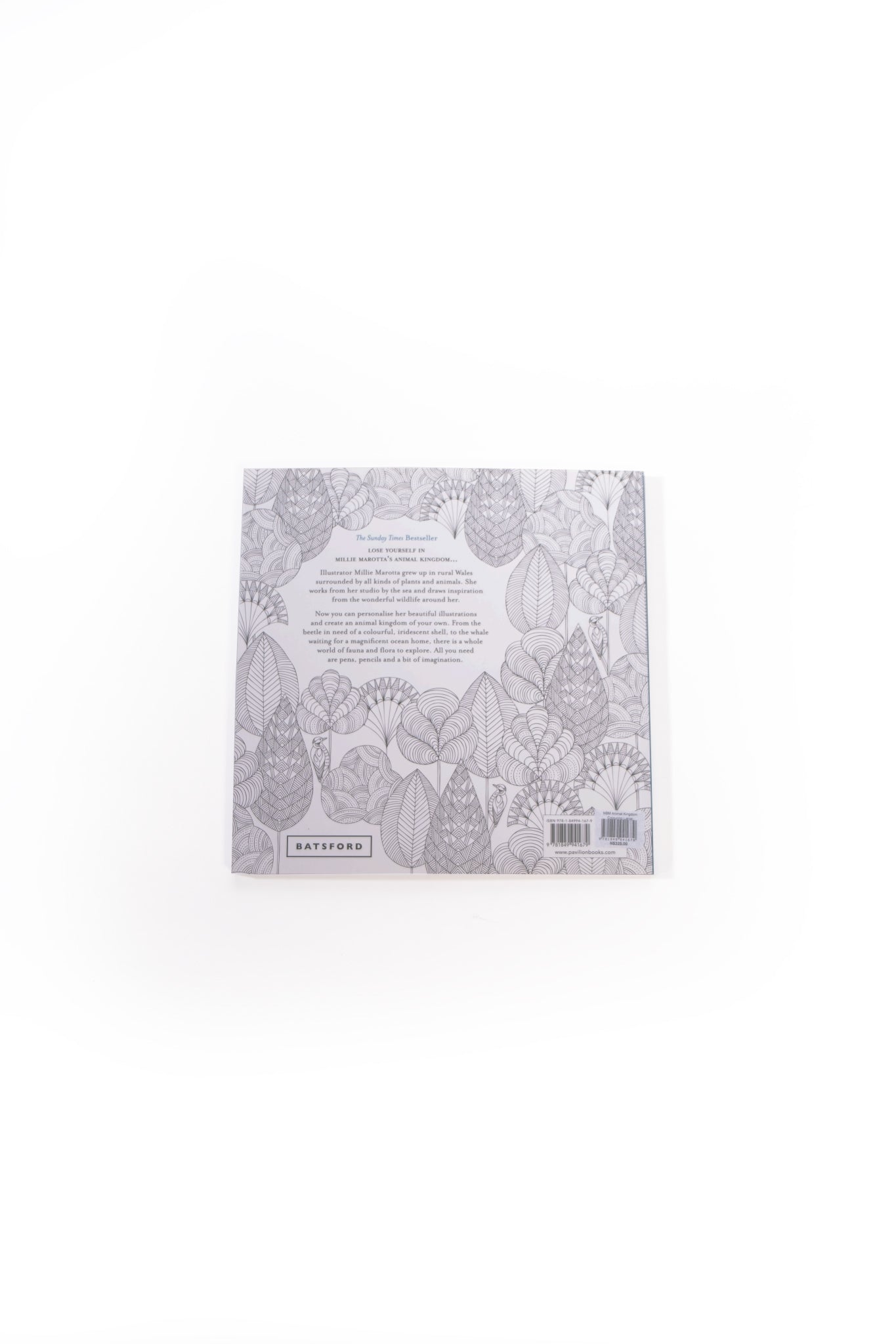 Wild Savannah Colouring Adventure Book