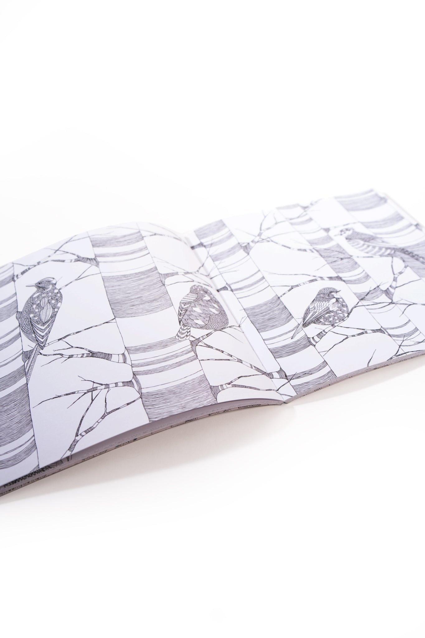 Wild Savannah Colouring Adventure Book