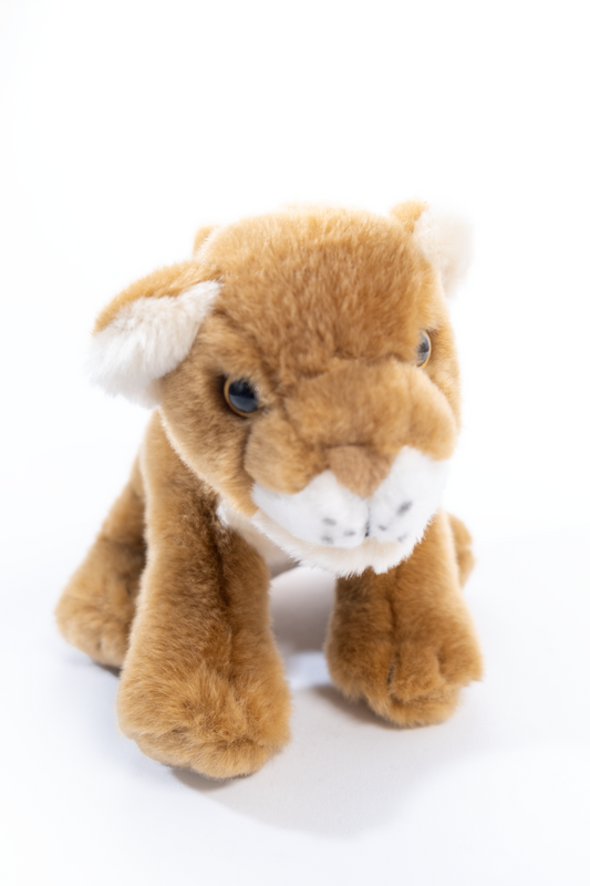 Lioness Soft Toy