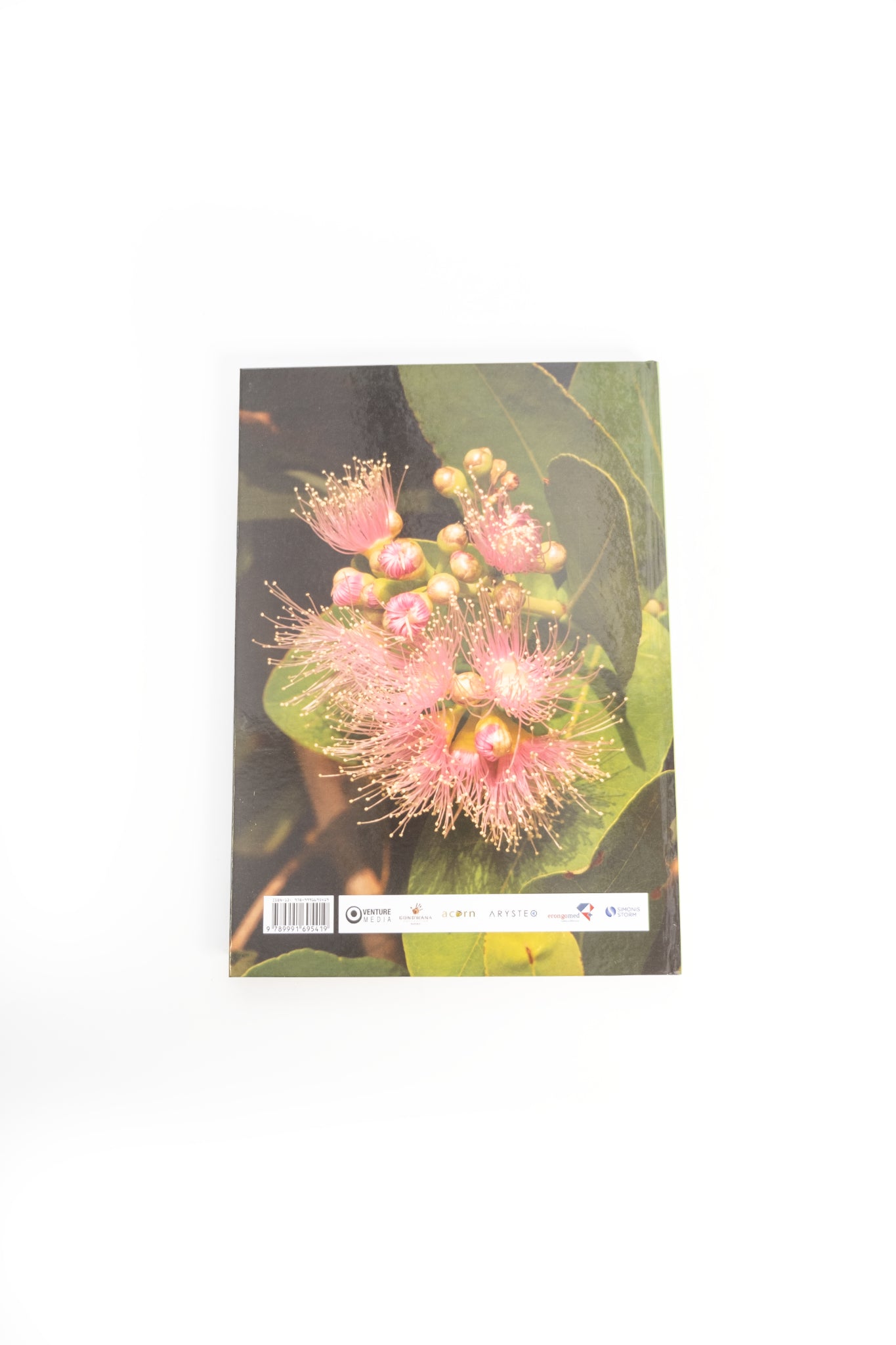 The Unbearable Beauty of Trees Book