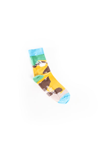 Gondwana Socks