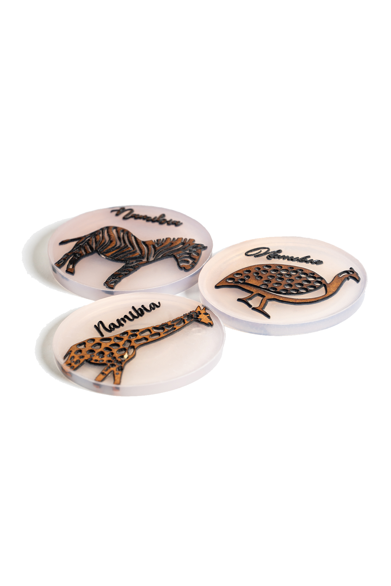 NamibiaCam resin Coaster