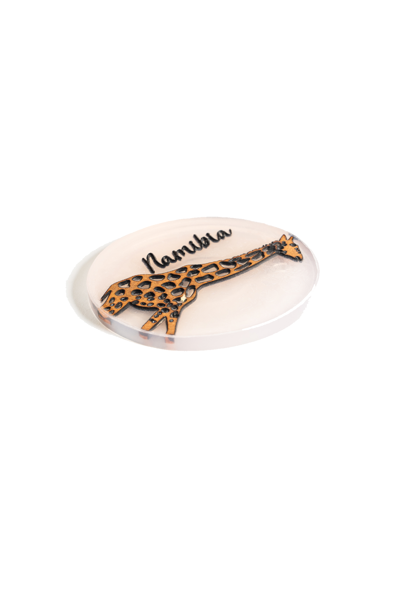 NamibiaCam resin Coaster