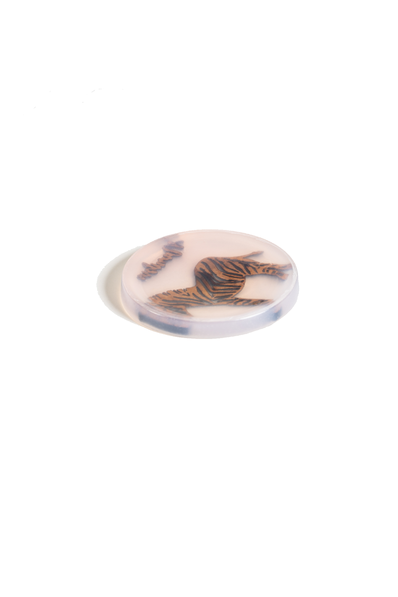 NamibiaCam resin Coaster
