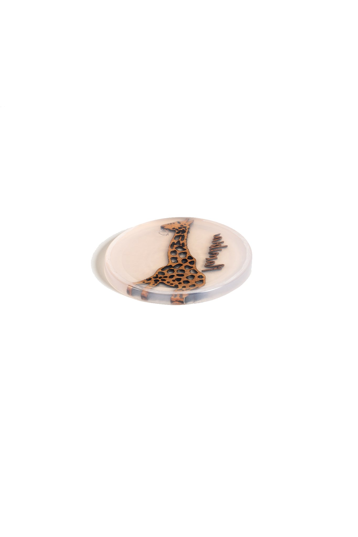 NamibiaCam resin Coaster