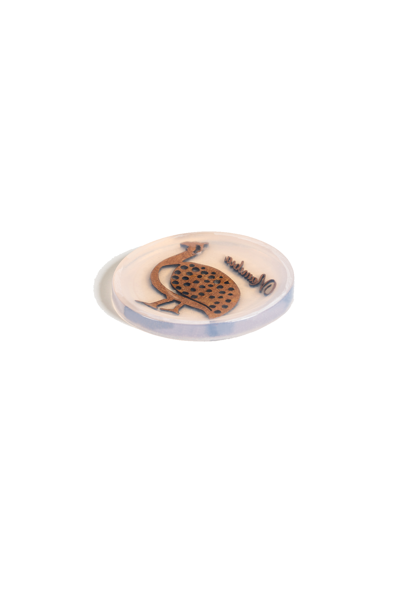 NamibiaCam resin Coaster