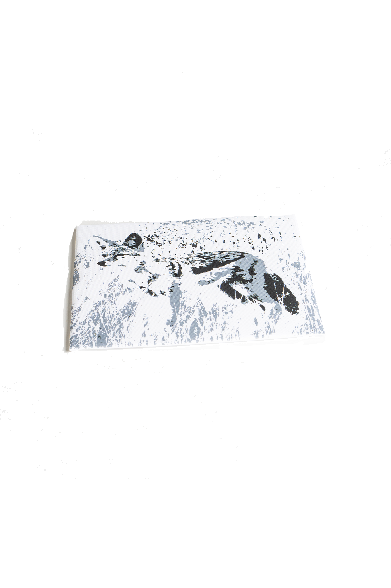 NamibiaCam animal Canvas