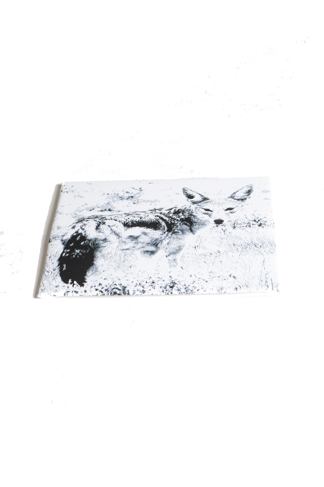 NamibiaCam animal Canvas
