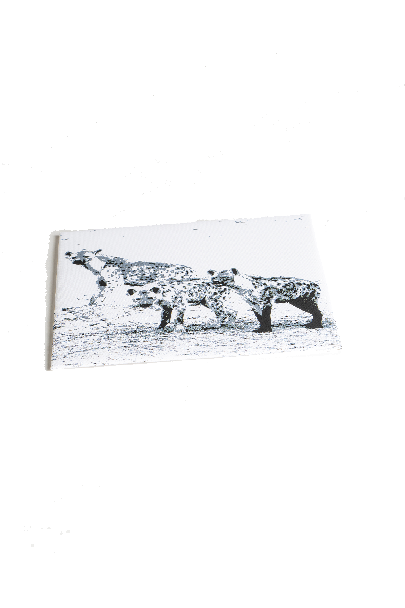 NamibiaCam animal Canvas