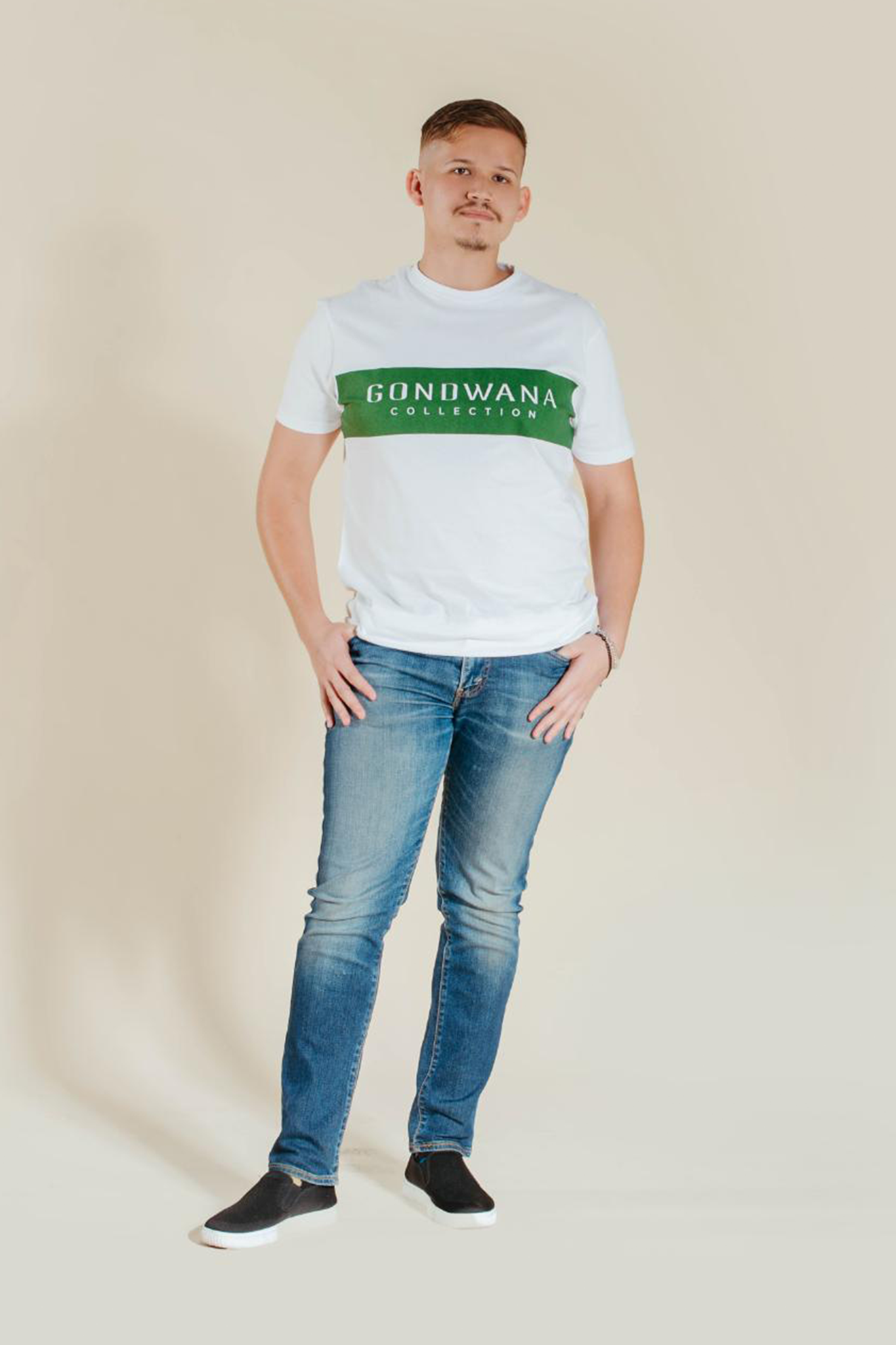 Gondwana print mens green stripe t-shirt