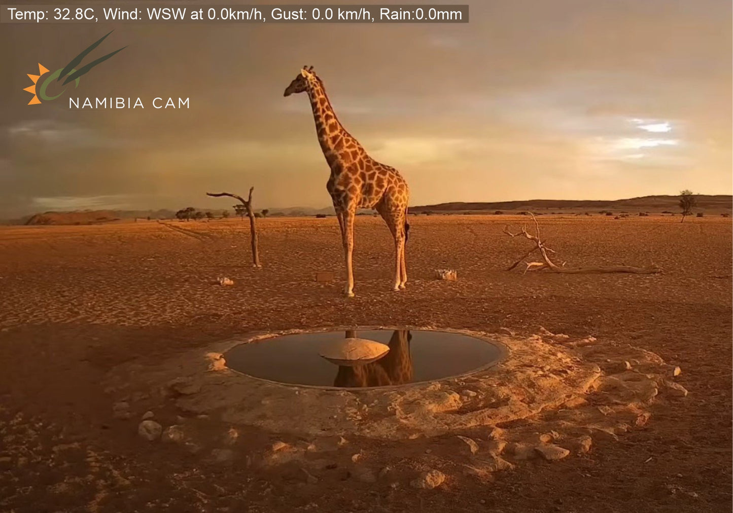 Donate to the NamibiaCam Waterholes