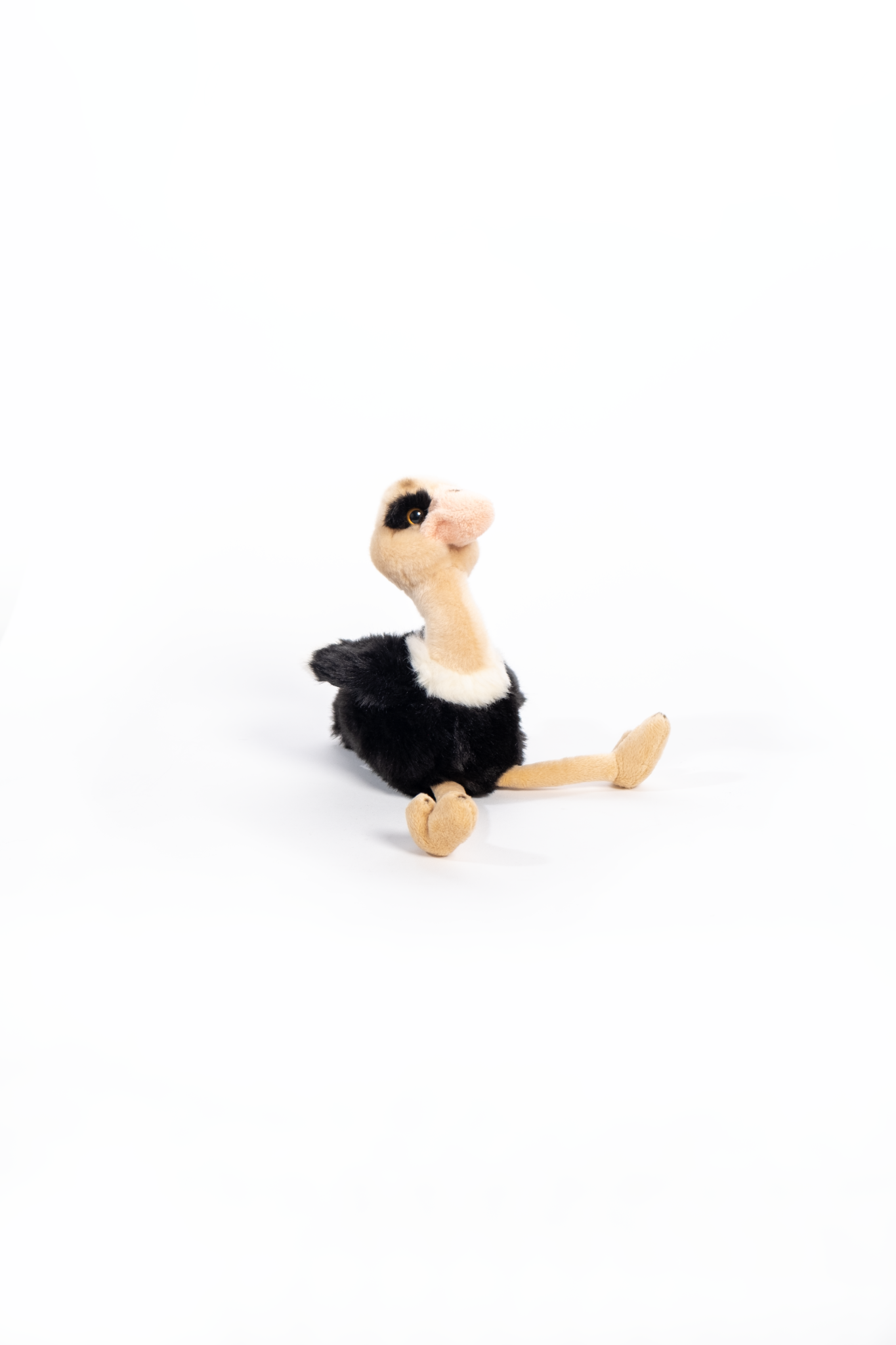 NamibiaCam Ostrich Soft Toy -Small