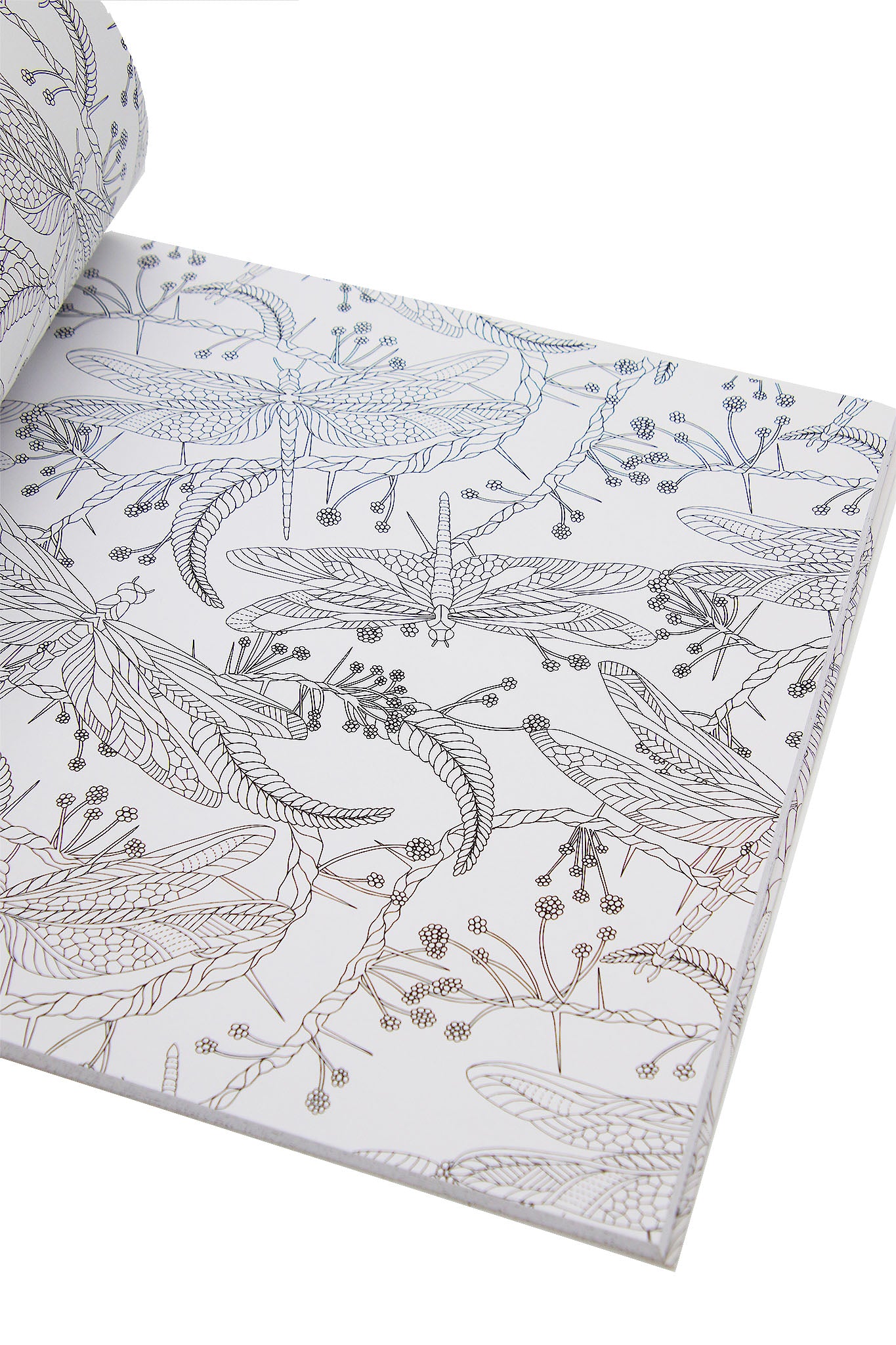 Wild Savannah Adult Colouring Book