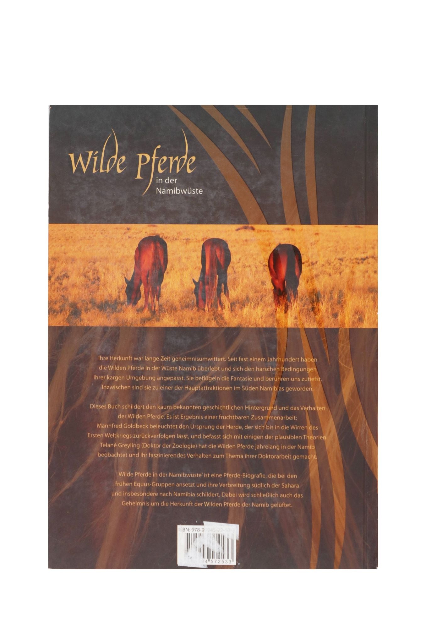 Wilde Pferde in der Namibwuste Book - German