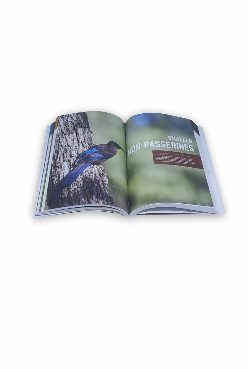 Birds of Namibia Book