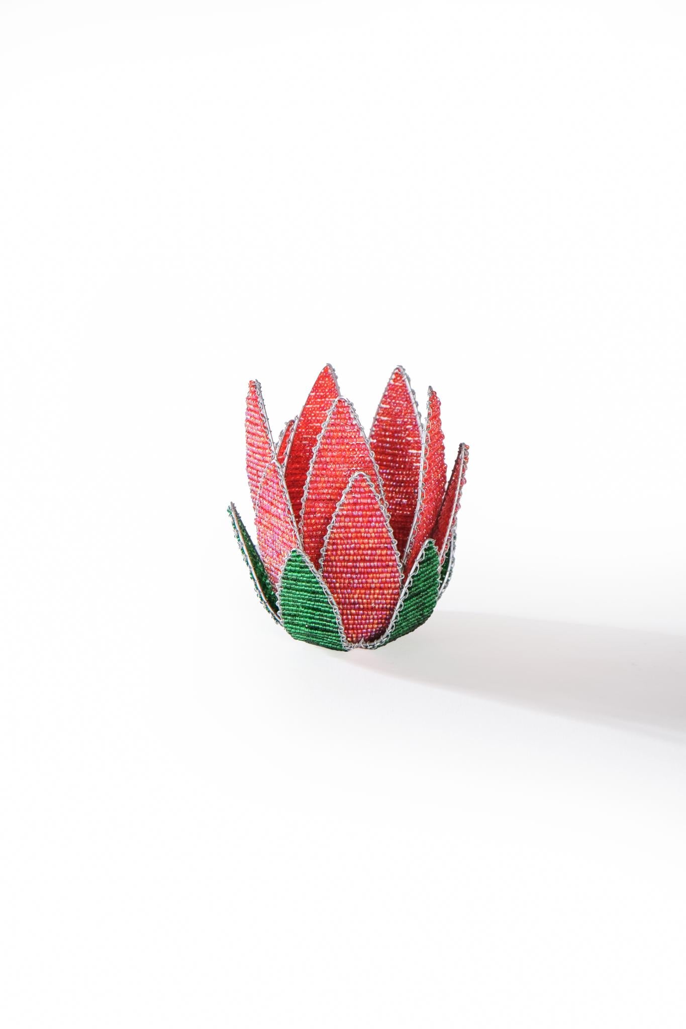 Photophore Protea