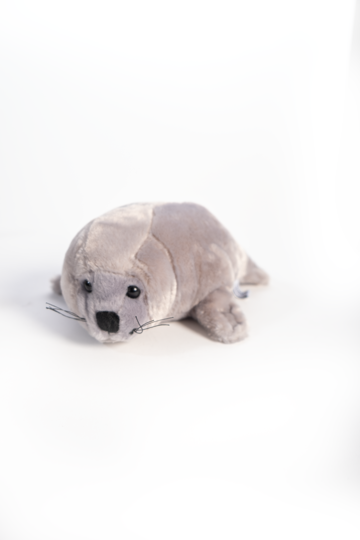 Seal Soft Toy