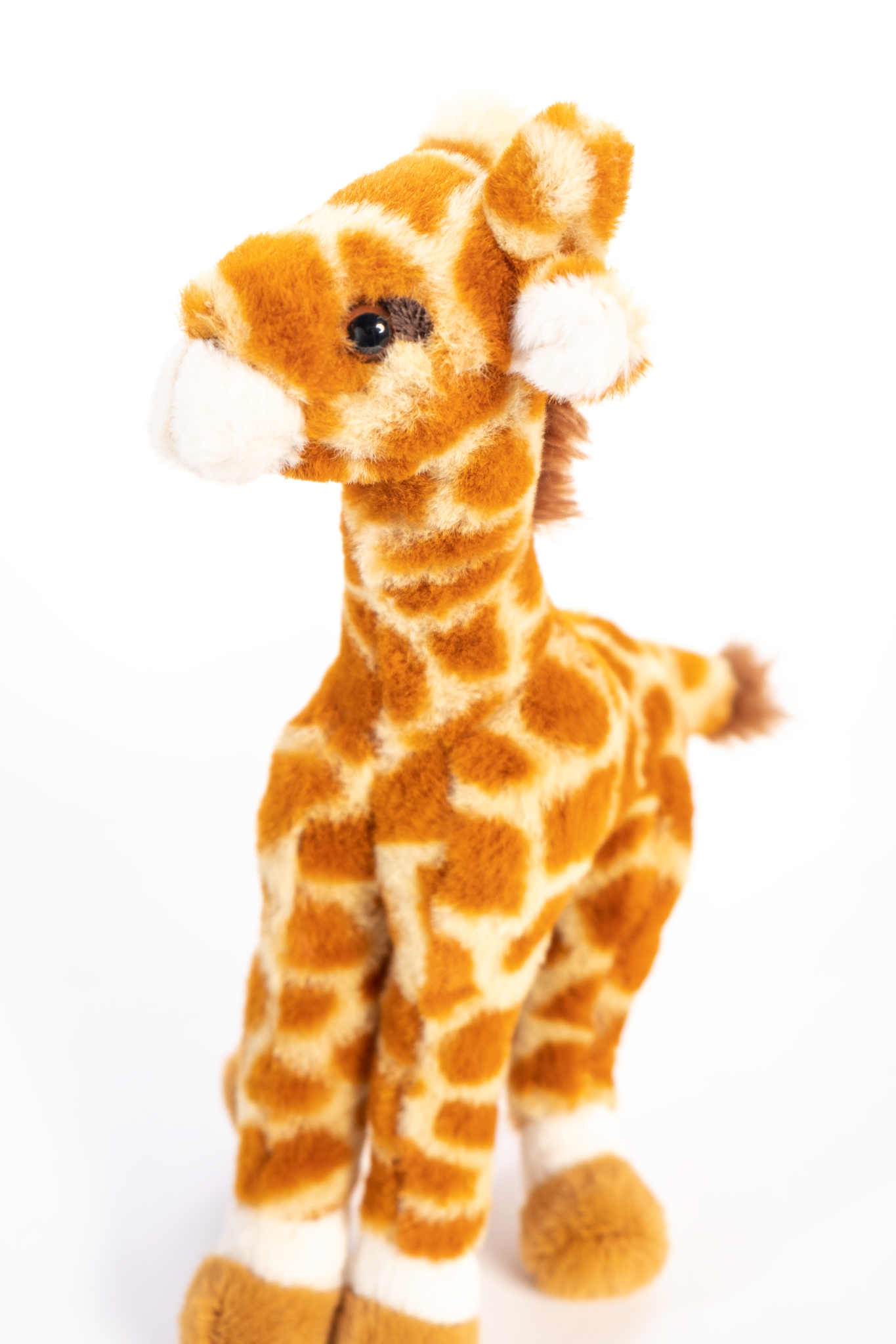 Giraffe Small Soft Toy