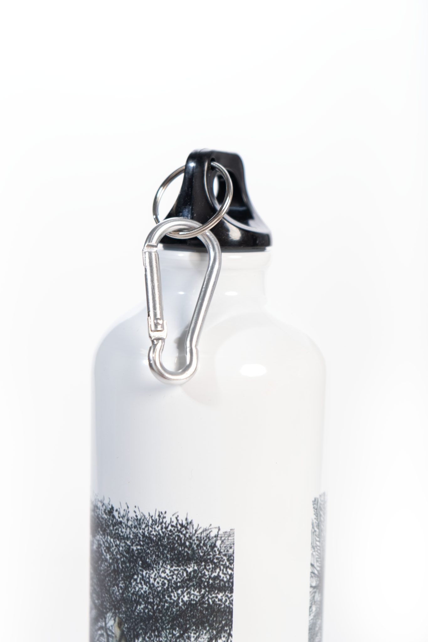 Okapuka Artwork Water Bottle - 750ml
