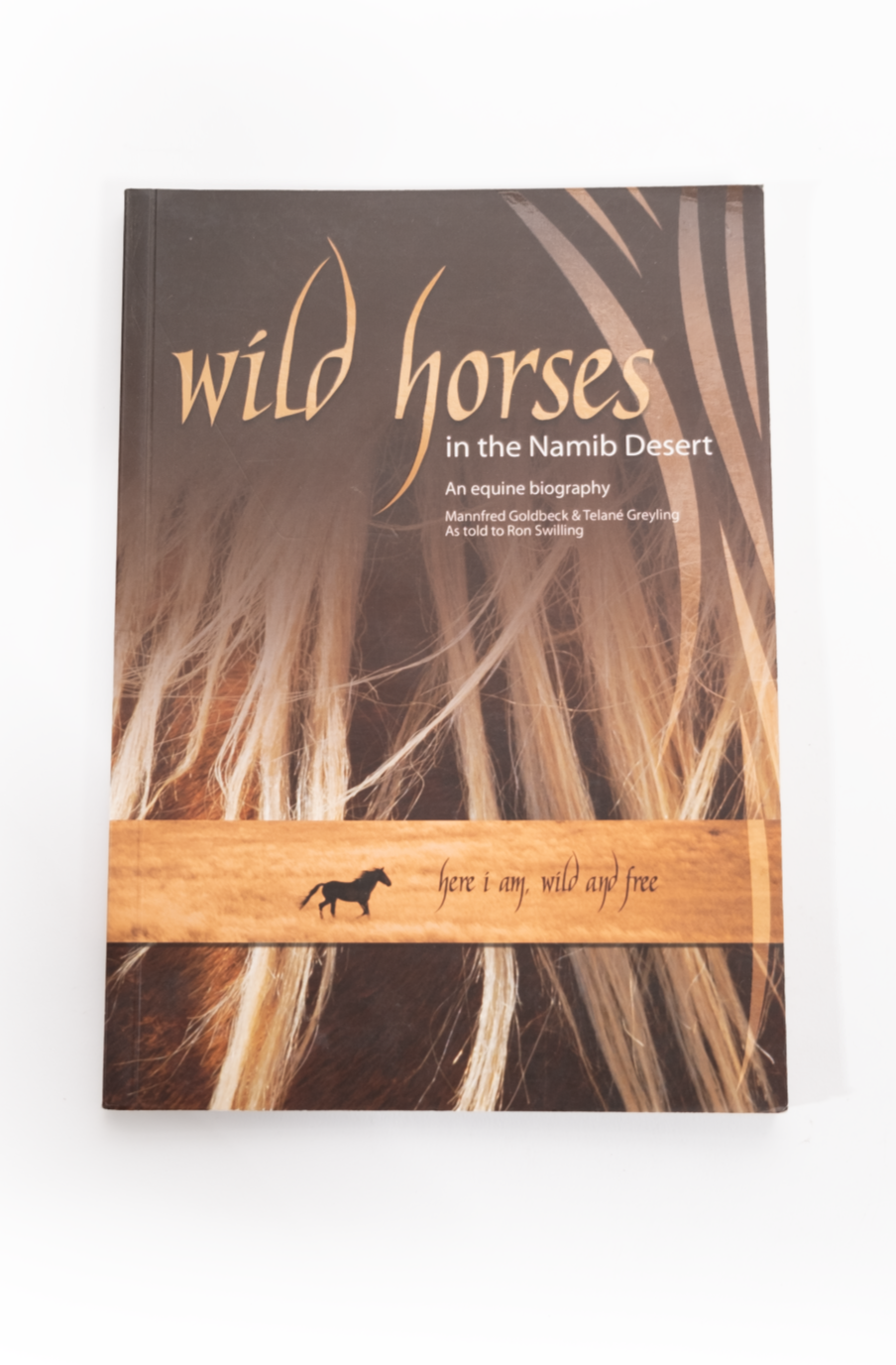 Wild Horses in the Namib Book - English