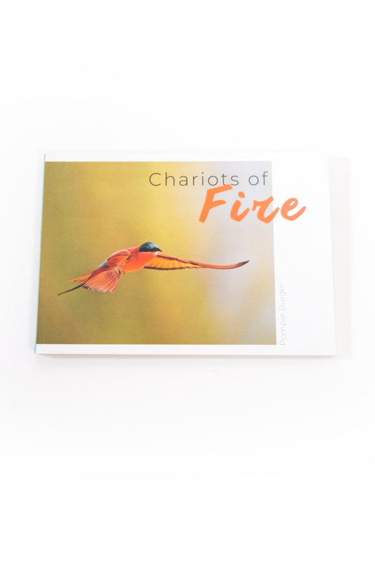 Chariots of Fire Book