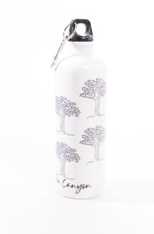 Canyon Lodge water bottle - 750ml