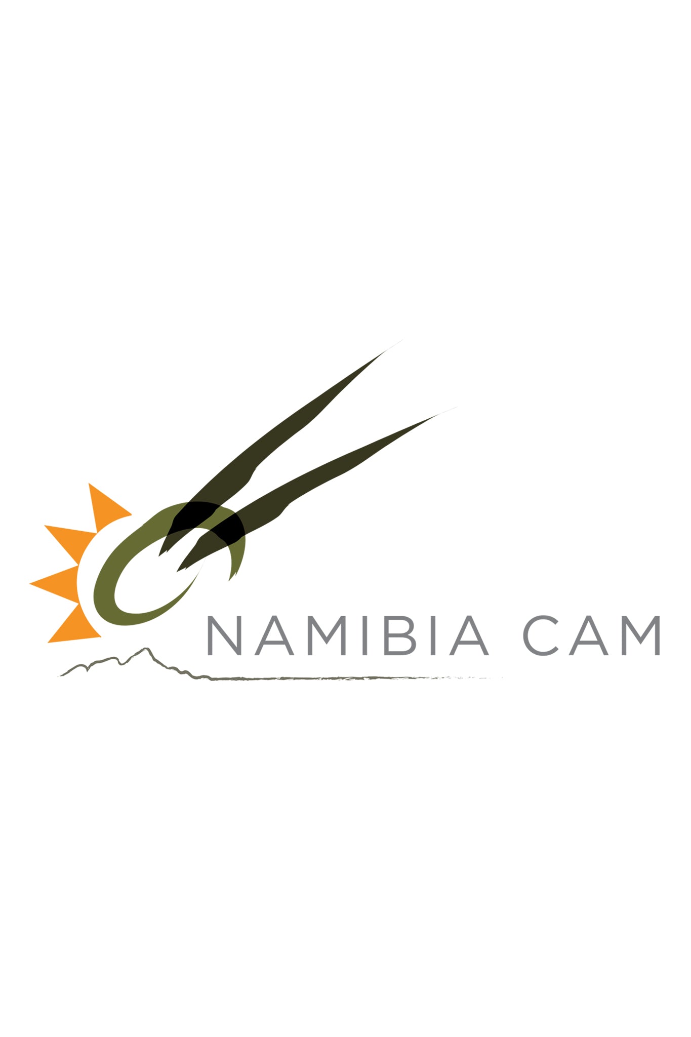 Donate to the NamibiaCam Waterholes in Namibia