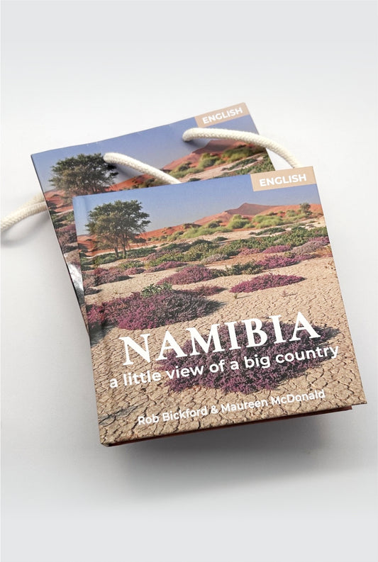 NAMIBIA IN A BAG BOOK